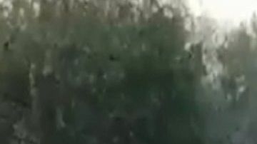 VIDEO: Sicarios del Cártel de Sinaloa atacan a soldados mexicanos