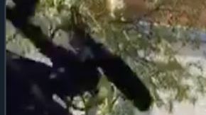 VIDEO: Denuncian infiltración del CJNG en protestas por asesinato de albañil en México