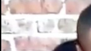 VIDEO: El huachicolero, el Marro rompe en llanto, y llama viejo "gonorriento" al Mencho