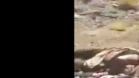 VIDEO: Los Chapitos regaron los cuerpos de 10 de sus víctimas cerca de frontera con EE.UU.
