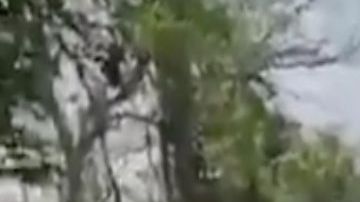 VIDEO: Narcos tablean brutalmente a taxistas, así los obligan a reportarles todo lo que ven