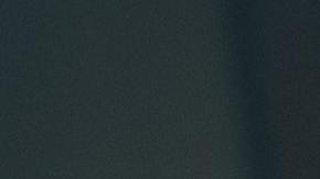 Sus padres nunca pudieron comprarle lo que tanto anhelaba.