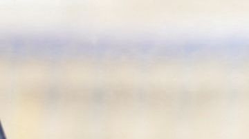 Bruno Marioni no será más el técnico de los Pumas con miras al torneo Apertura 2019