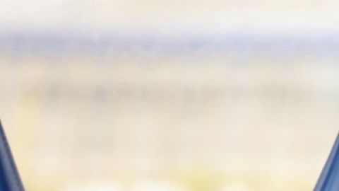 Bruno Marioni no será más el técnico de los Pumas con miras al torneo Apertura 2019