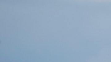 Las vacas pudieron atacarlo al sentirse amenazadas.