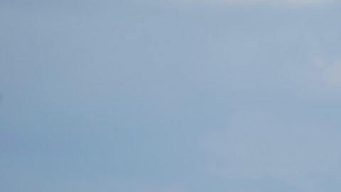 Las vacas pudieron atacarlo al sentirse amenazadas.