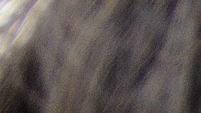 aire-llantas-shutterstock_104261408