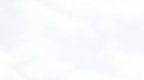 La asamblea neoyorquina ya ha aprobado medidas para dar transparencia a la policía.