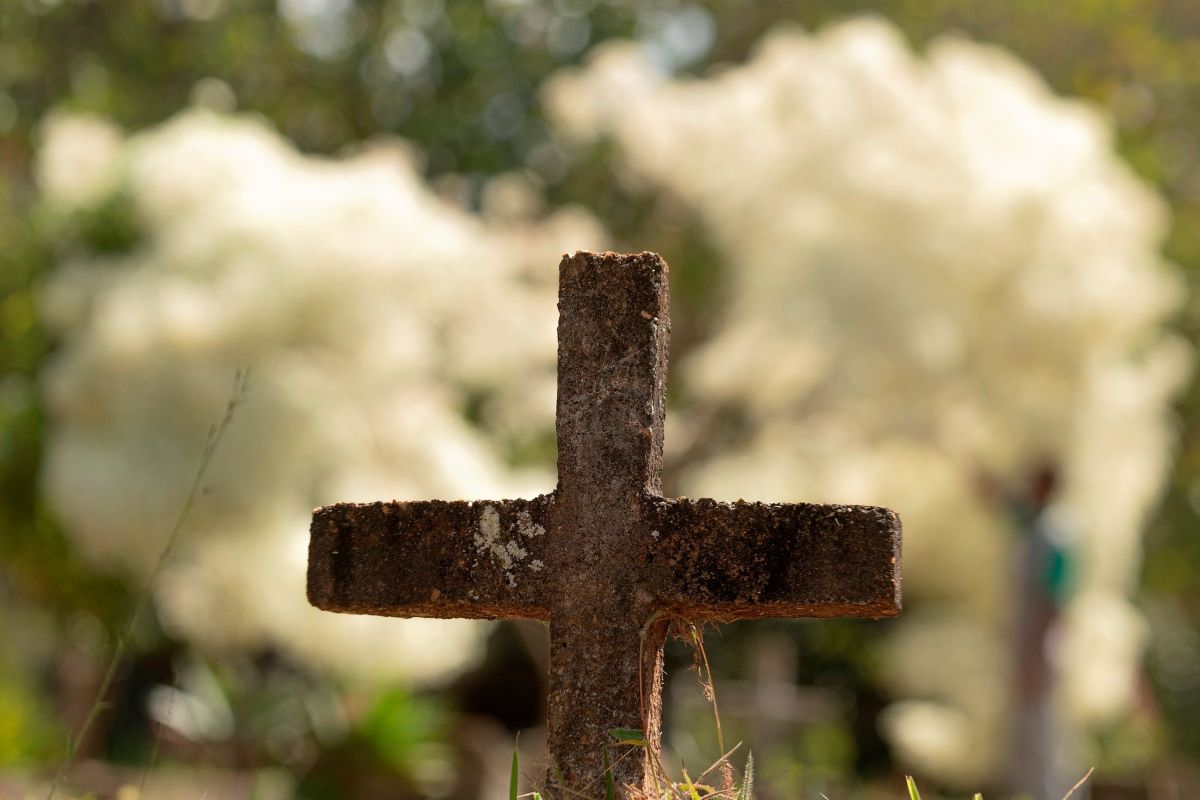 El macabro hallazgo fue divisado en un cementerio de Sacramento, California.