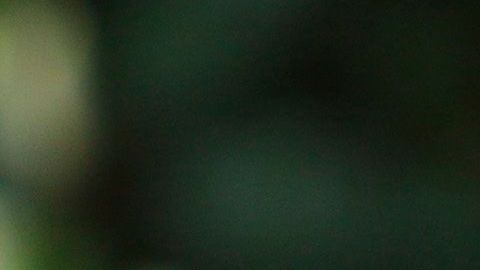 Guillermo Álvarez Cuevas, presidente de Cruz Azul.