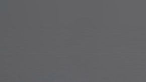 Los cactus absorben las malas energías.