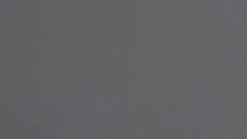 Los cactus absorben las malas energías.