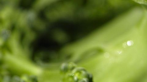 Brócoli