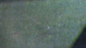 Betty Ting Pei, la última persona que vio con vida a Bruce Lee.