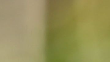 Bruce Lee, un ícono inmortal.