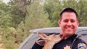 Un policía salva a un cervatillo del fuego.