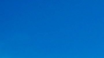 Floyd falleció debido a un paro cardiorespiratorio, según forense del condado.