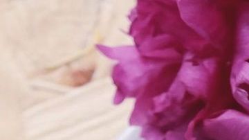 Una taza de café sencillo tiene menos de 5 calorías y aumenta tu metabolismo.