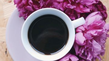 Una taza de café sencillo tiene menos de 5 calorías y aumenta tu metabolismo.