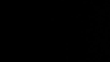 Canelo Alvarez adolescente