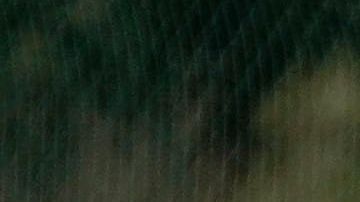 Hirving ‘Chucky’ Lozano pudo haber tenido minutos en este duelo.