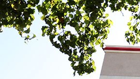 En mayo hubo un aumento del 48% en solicitudes de bancarrotas respecto al mismo período del año anterior.