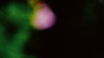 Los cristales ayudan a equilibrar las energías de tu hogar.