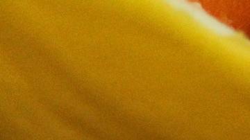 La familia vive en Londres y tras ver el rasguño de la pequeña hija se trasladaron de emergencia al hospital.