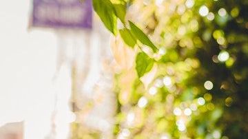 Géminis tiene una personalidad muy divertida.