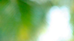 La empresa te pedirá que hagas 10 tours virtuales desde la comodidad de tu hogar.