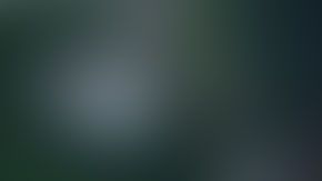 La policía dijo que varios manifestantes agredieron a los agentes mientras intentaban arrestar a los sospechosos y dañaron un vehículo policial.