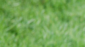 Los niños son los más vulnerables al mal de espanto.