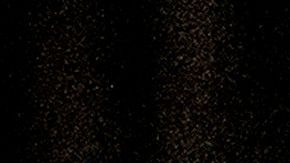 Miles de personas han sido arrestadas por violaciones al toque de queda.