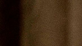 Trump ha perdido el apoyo fundamental de grupos religiosos.