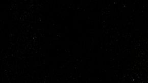 Arrestos en protestas en L.A.