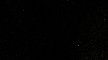 Arrestos en protestas en L.A.