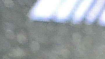 dana white conor mcgregor