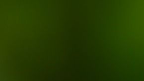 El toloache es muy usado en amarres de amor.