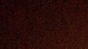 Buena parte de los nuevos contagios se están dando en el continente americano.