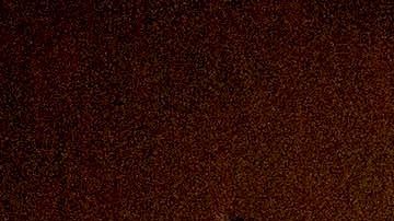 Buena parte de los nuevos contagios se están dando en el continente americano.