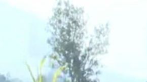 Fosas clandestinas en Xalisco, Nayarit