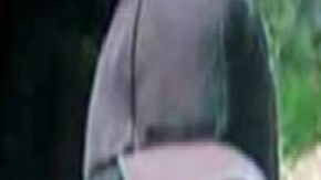 El Marro, el Mayo Zambada y el Mencho