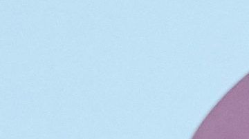 esposas jugadores real madrid