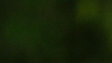 El sacerdote ha prometido devolver todo el dinero que tomó.