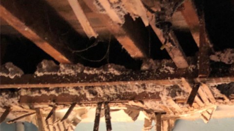 Techo en un 5to piso quemado en El Bronx.