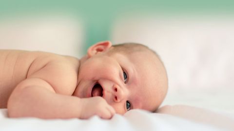 bebe
