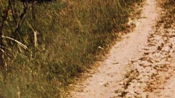 Wagon Ford Bronco Sport 1967.
Crédito: Cortesía Ford.