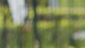 Conoce el significado de soñar con tu funeral.