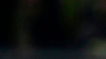 Jadon Sancho vacaciones en Dubai