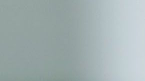 La pareja surcoreana se declaró culpable ante un gran jurado de Queens.